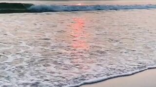 video 339