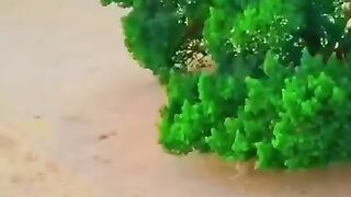 Oromo febspot