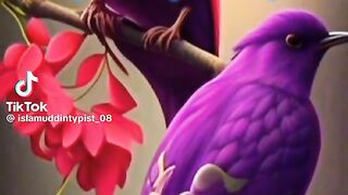 Hazrat Ali quotes in Urdu 160