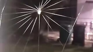 Spider making home