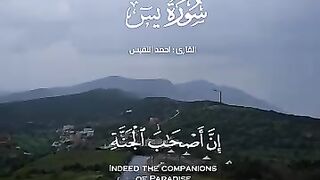 ????️احمدالنفیس???? 2