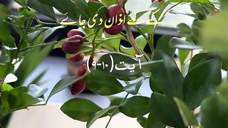 Razzaq5 -Heart Touching video -Quran verses Short verses- You tube short video -Beautiful video -TikTok video .plz subscribe and watch my video