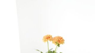 FLOWER 300105