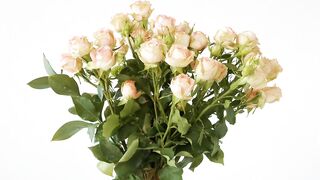 FLOWER 300106