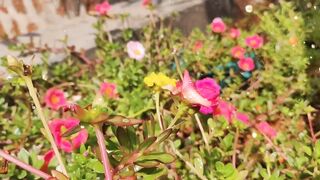 FLOWER 300114