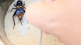 Best video 2024 2
