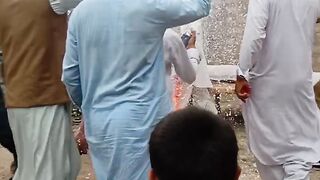 Full funny v