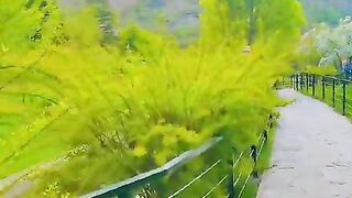 road  pakistan hills