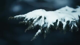 Where To Canada  Ep. 02 Where to ski in Canada
