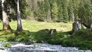 Beautiful nature 160