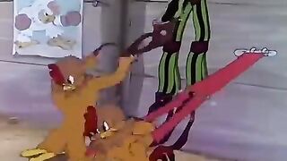 Fighter cock.