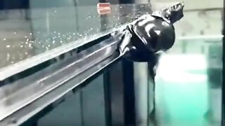 نابینا صحابی رسول صلی اللہ علیہ وسلم