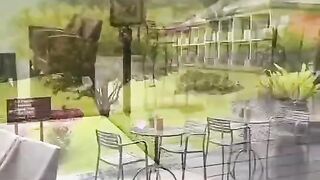 status,status video,status song,status whatsap,beast song,good song,video,natural 81