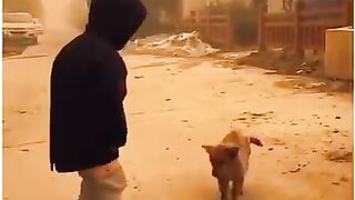 Comedy 226