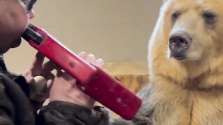 This man’s pet bear can play music ????