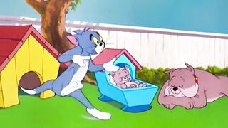 Cartoons 19