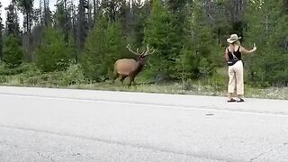 HilarioUs  AniMals ReActions