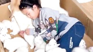 cat lover 5