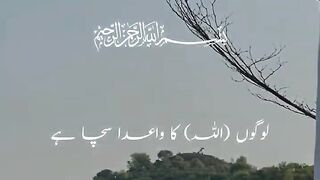 Quran 285