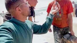 'I want to die' - a Palestinian child in Gaza says due to war