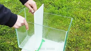Experiment: Coca-Cola & Mentos