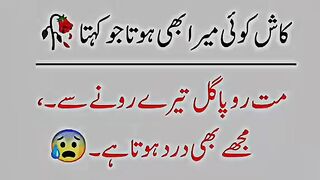 Special Lonely Peoples