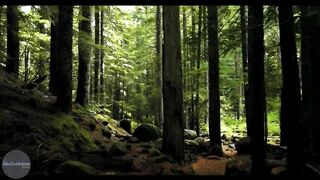 Natureza k4