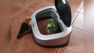 Я_РЖАЛ_ПОЛ_ЧАСА