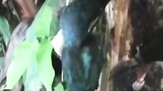 Animals That Asked People for Help & Kindness! in 2024 part2 #shorts