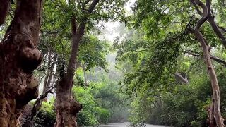 Let go of stress and surrender to nature’s serenity