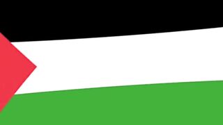 Countries that’ love Palestine vs don’t