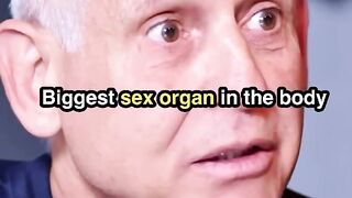BIGGEST $EX ORGAN In the Body