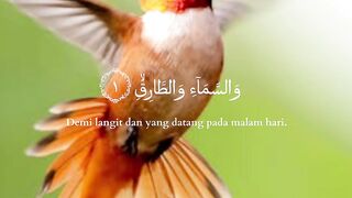 video 345