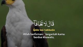 video 353