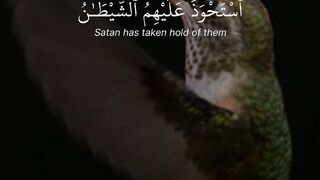 video 361
