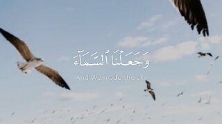 video 365