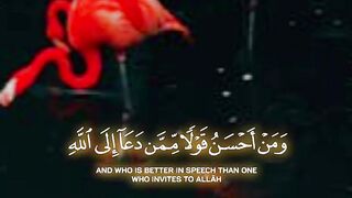 video 372
