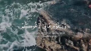 video 377