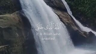 video 378