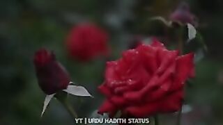 Hadees Status For Whatsapp Urdu __ Hadees In Urdu Status __ Urdu Hadith Stat_144p.