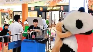 Panda and bear comedy