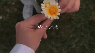 status,status video,status song,status whatsap,beast song,good song,video,natural 142