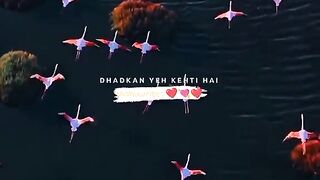 status,status video,status song,status whatsap,beast song,good song,video,natural 149