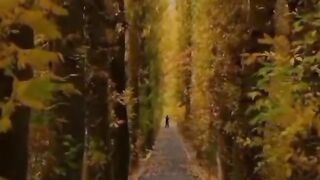 status,status video,status song,status whatsap,beast song,good song,video,natural 158