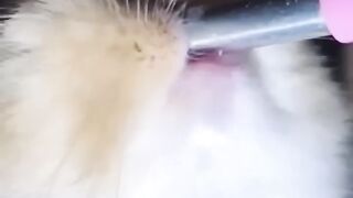 Mmmhhhh.