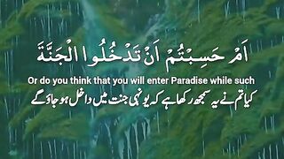 The verse of Al Quran