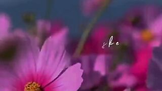 status,status video,status song,status whatsap,beast song,good song,video,natural 175