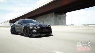 THIS WIDEBODY GT500 MAKES OVER 1000HP  Ray's Shelby GT500SE x Palm Beach Dyno CX1100R