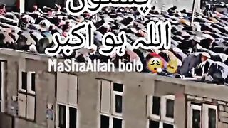 The Muslim of the Pakistan