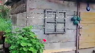 تلاوت کلام الله شریف???? 4